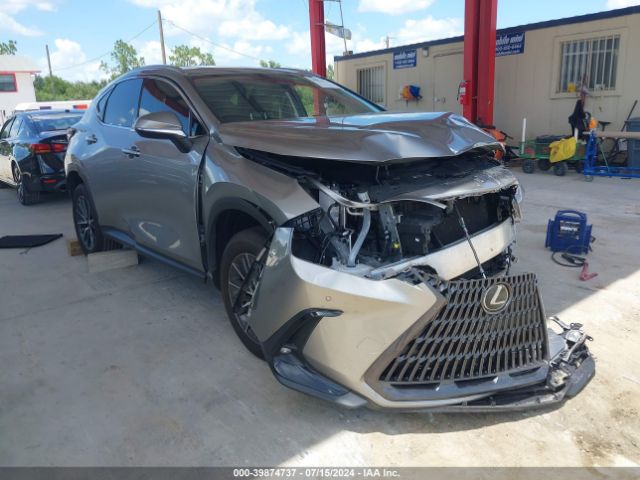 LEXUS NX 250 2024 2t2gdcaz9rc011448