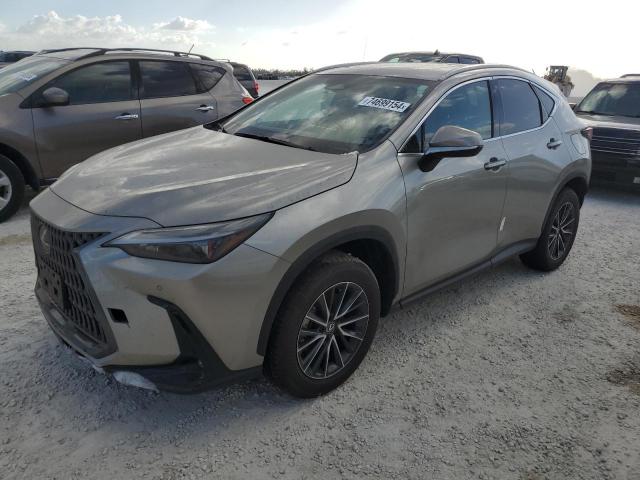 LEXUS NX 250 PRE 2024 2t2gdcaz9rc013295