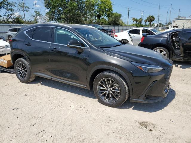 LEXUS NX 250 PRE 2024 2t2gdcazxrc011538