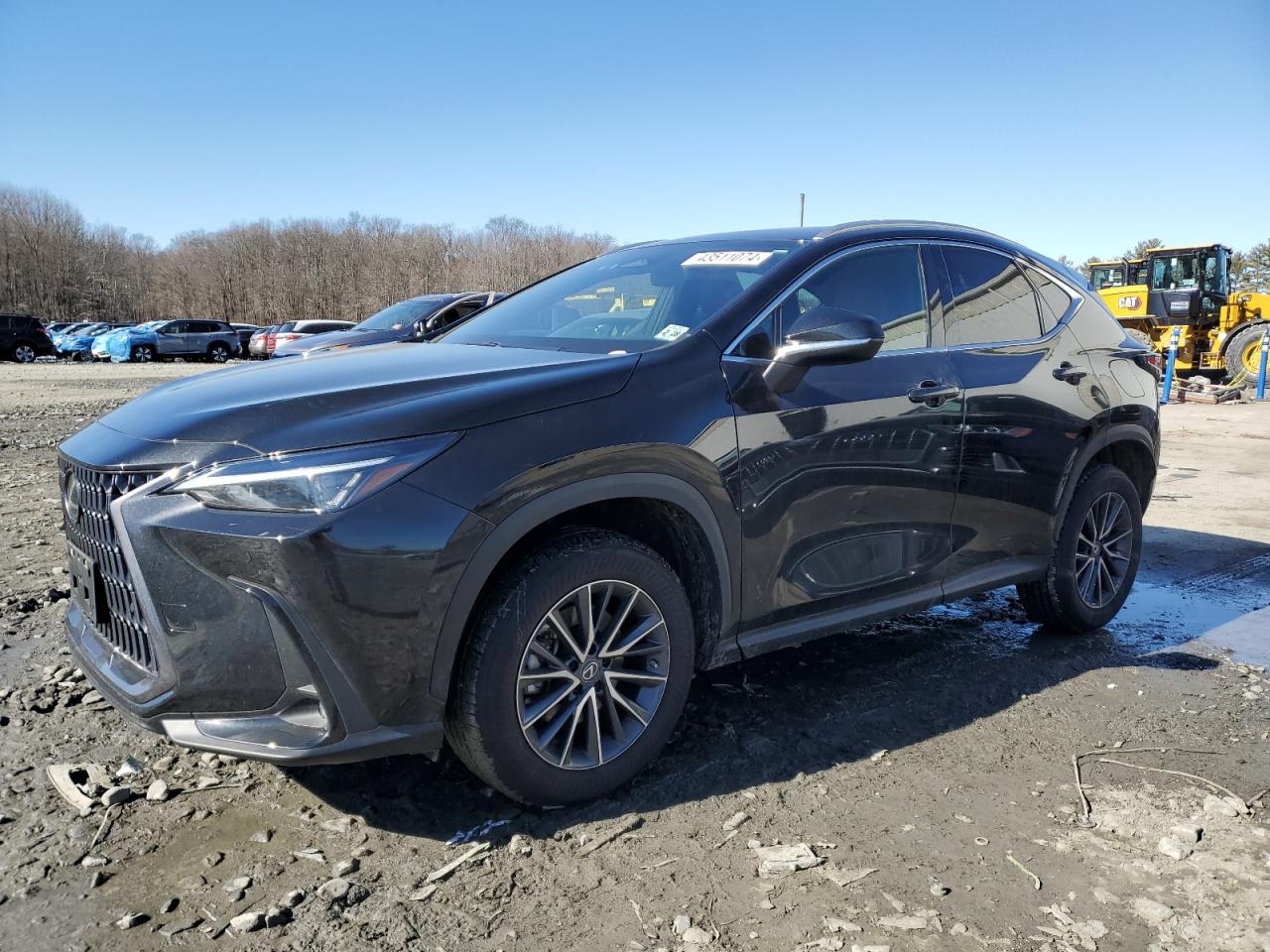 LEXUS NX 2023 2t2ggcez0pc024460