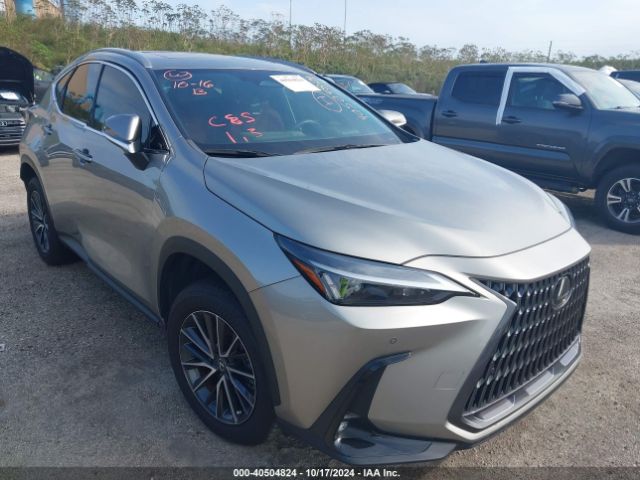 LEXUS NX 2024 2t2ggcez0rc053704