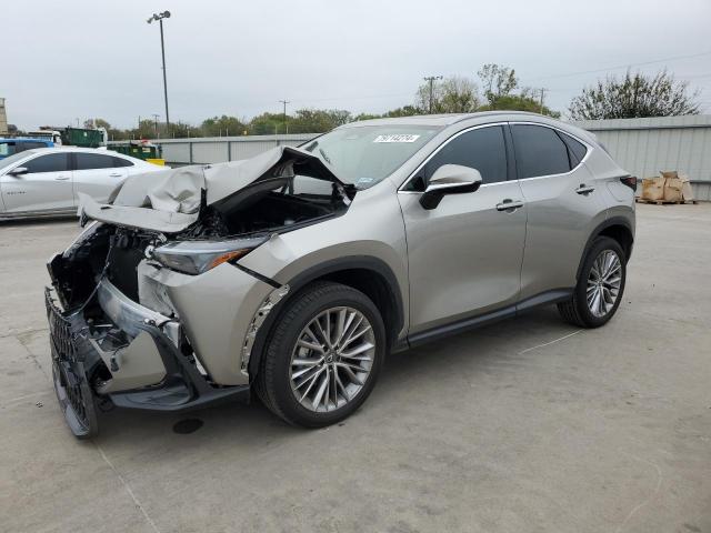 LEXUS NX 350 PRE 2025 2t2ggcez0sc066877