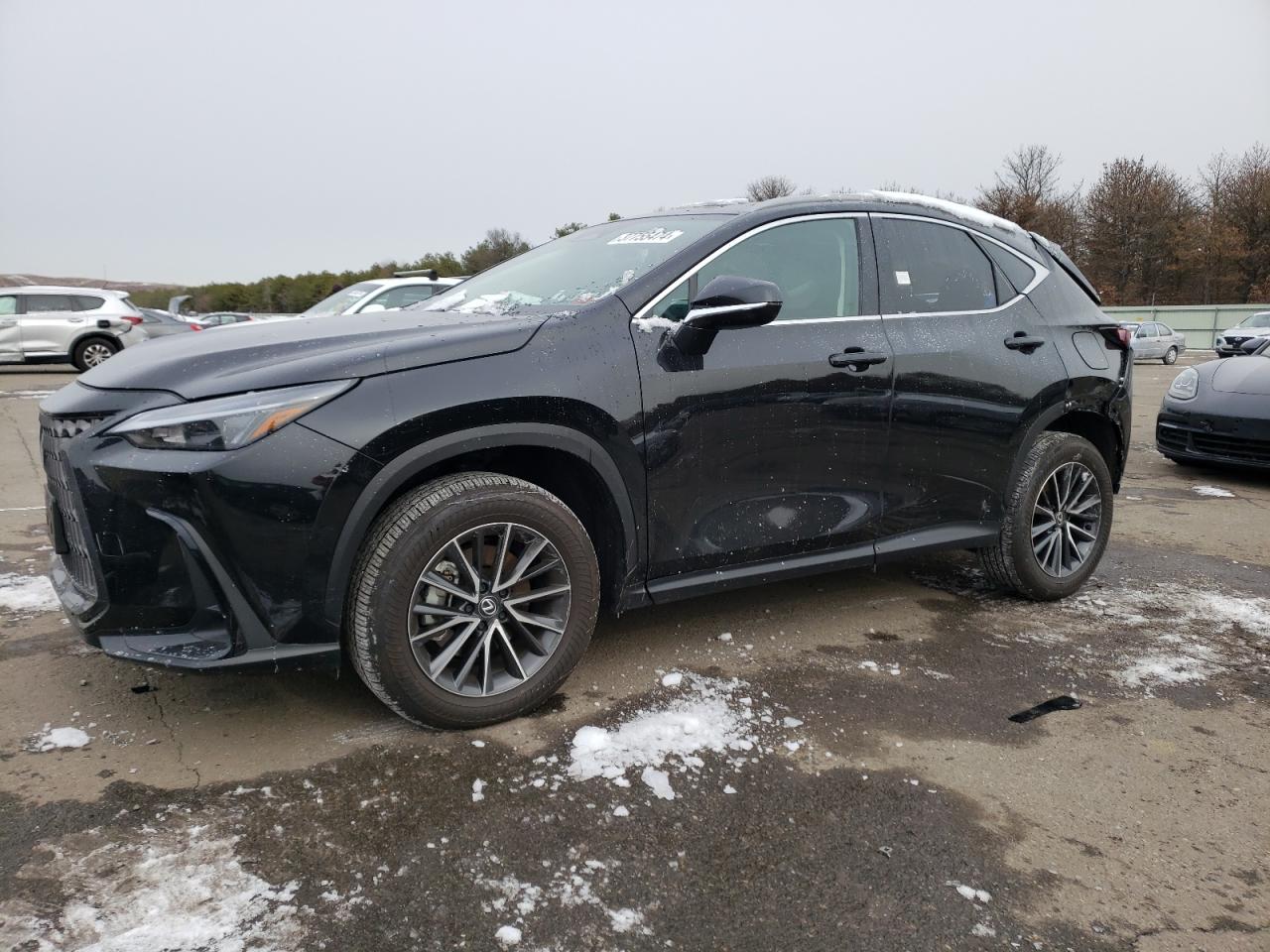 LEXUS NX 2024 2t2ggcez1rc042744