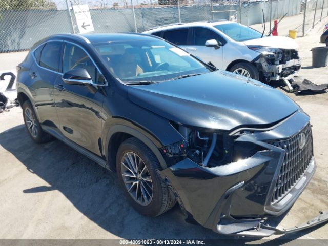 LEXUS NX 2023 2t2ggcez2pc023813