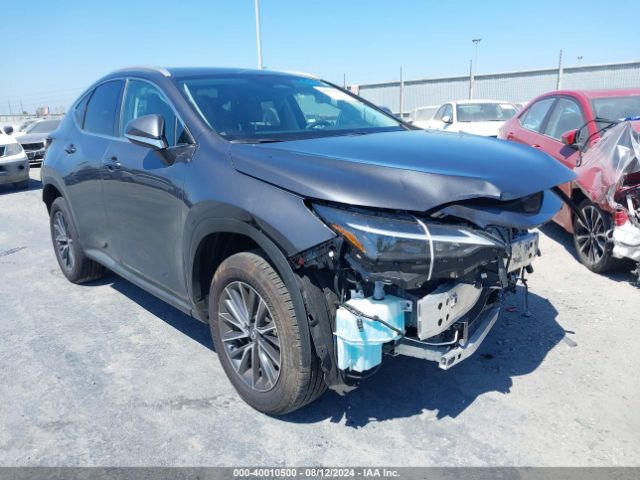 LEXUS NX 2023 2t2ggcez3pc031094