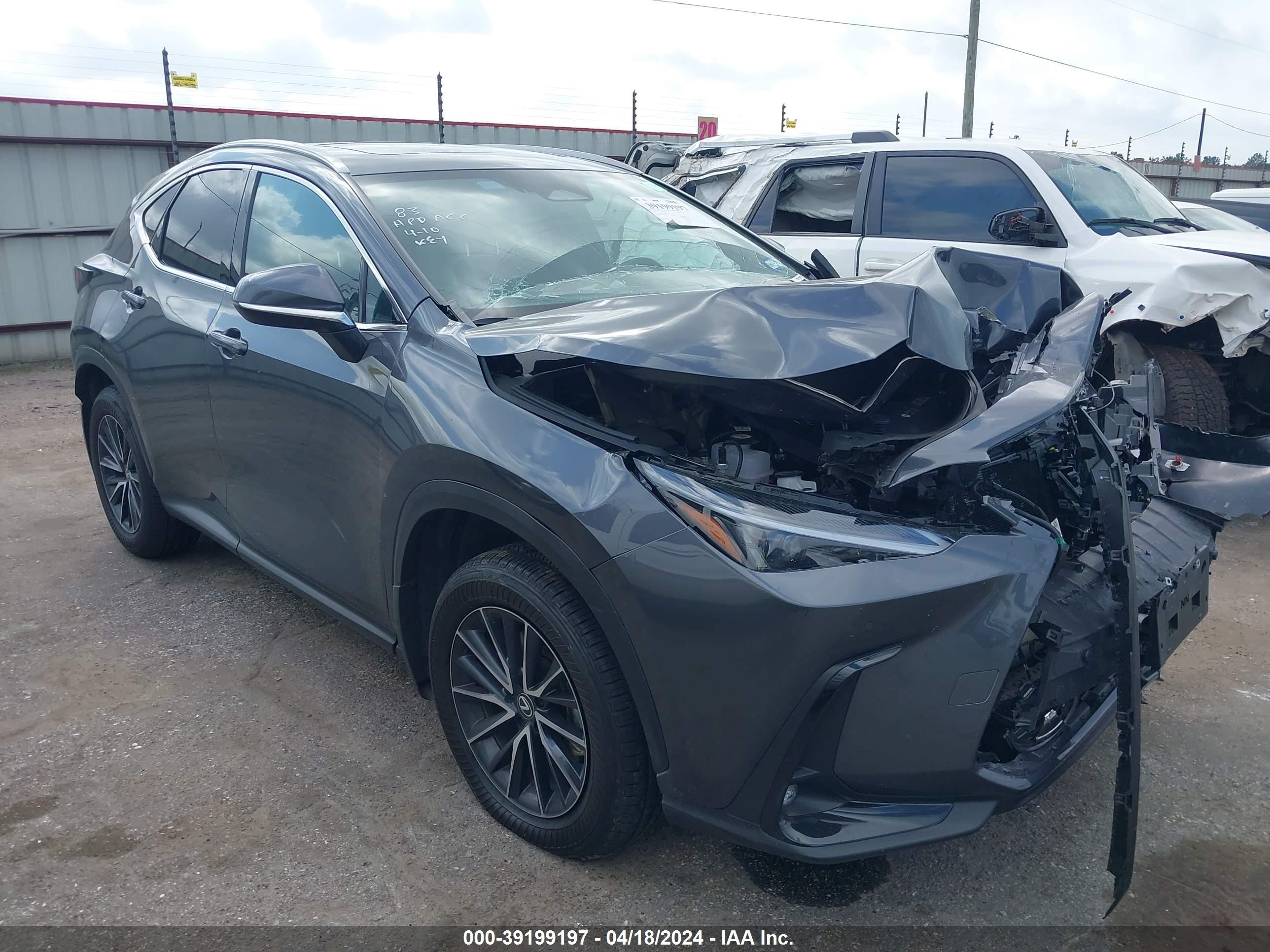 LEXUS NX 2024 2t2ggcez4rc037571