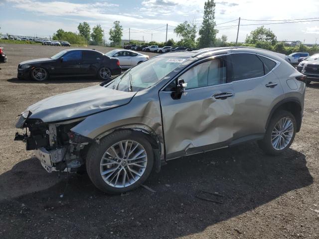 LEXUS NX 350 PRE 2024 2t2ggcez6rc059412