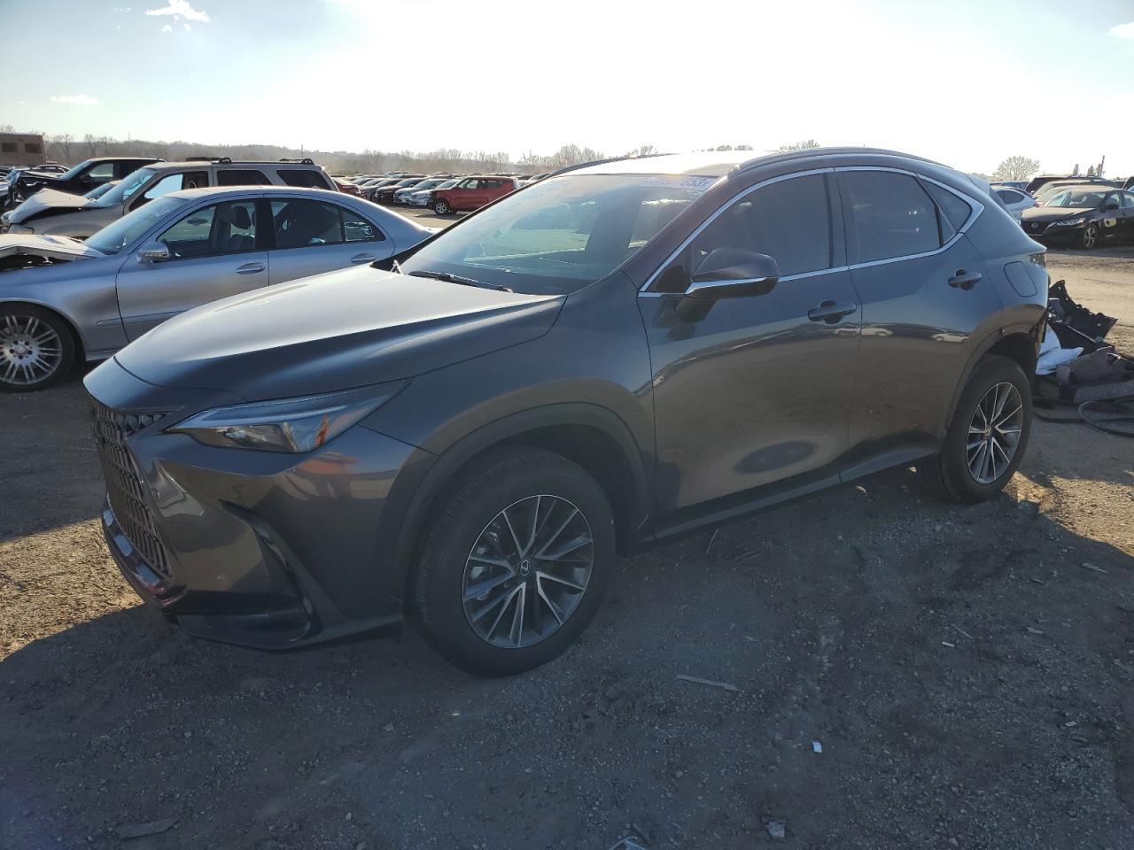 LEXUS NX 2022 2t2ggcez8nc009055