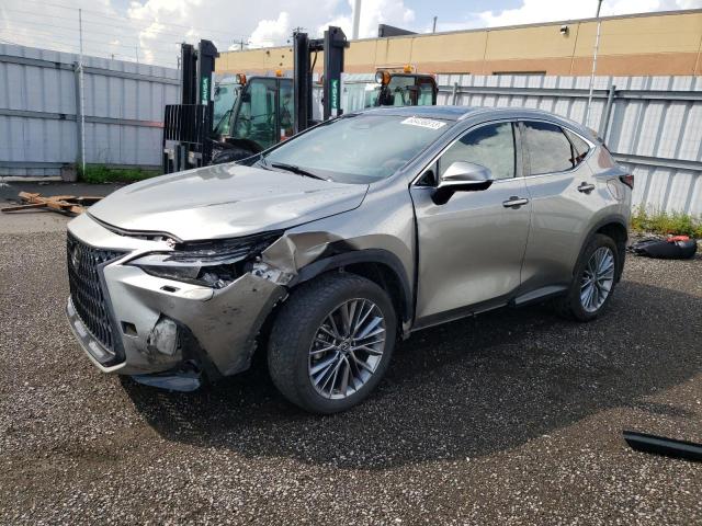 LEXUS NX 350 2023 2t2ggcez8pc030037