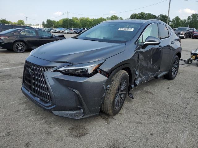 LEXUS NX 350 PRE 2024 2t2ggcez8rc033703