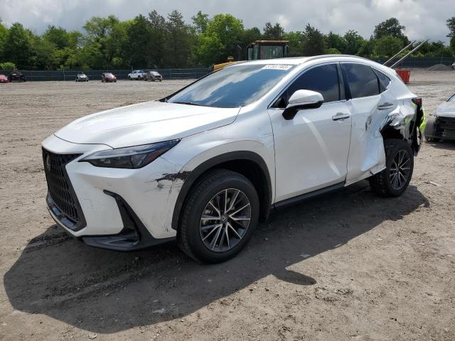 LEXUS NX 350 2023 2t2ggcez9pc027938