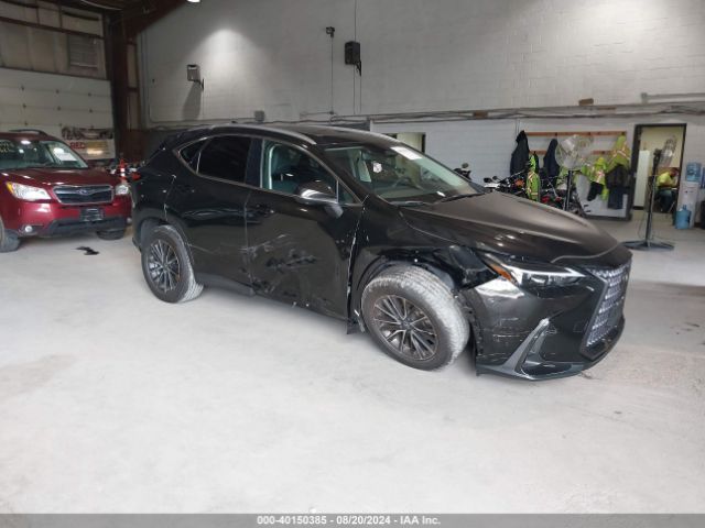 LEXUS NX 2024 2t2ggcez9rc059775