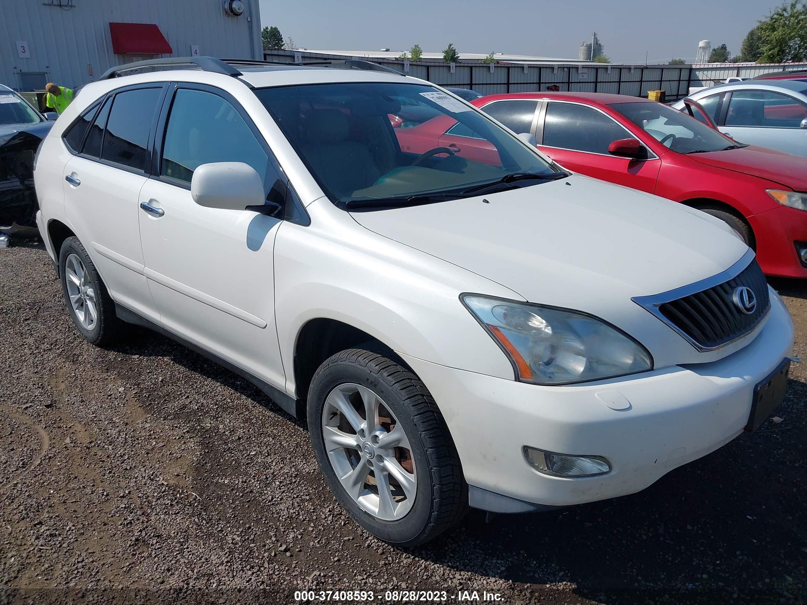 LEXUS RX 2008 2t2gk31u08c051278