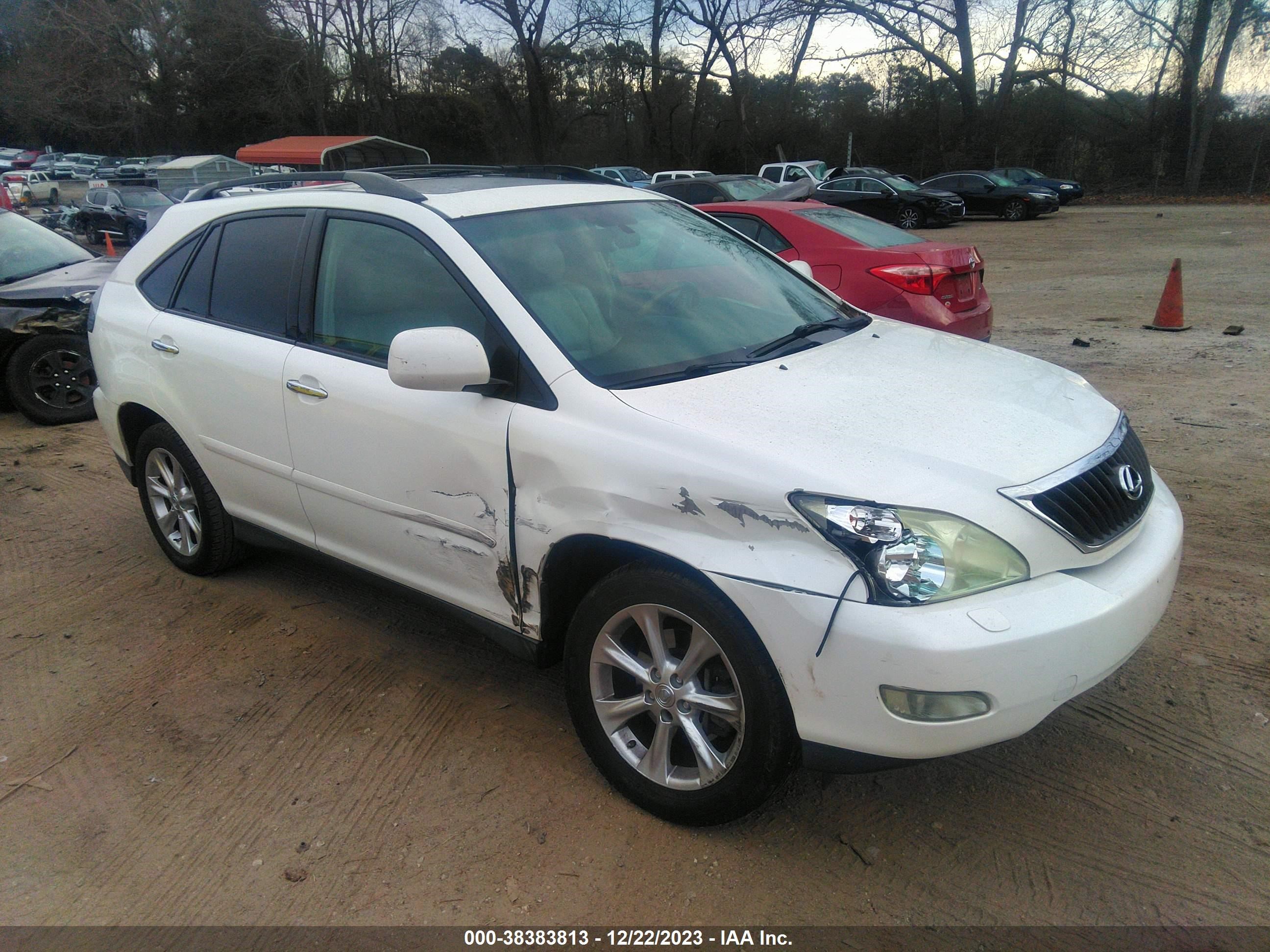 LEXUS RX 2009 2t2gk31u09c066221