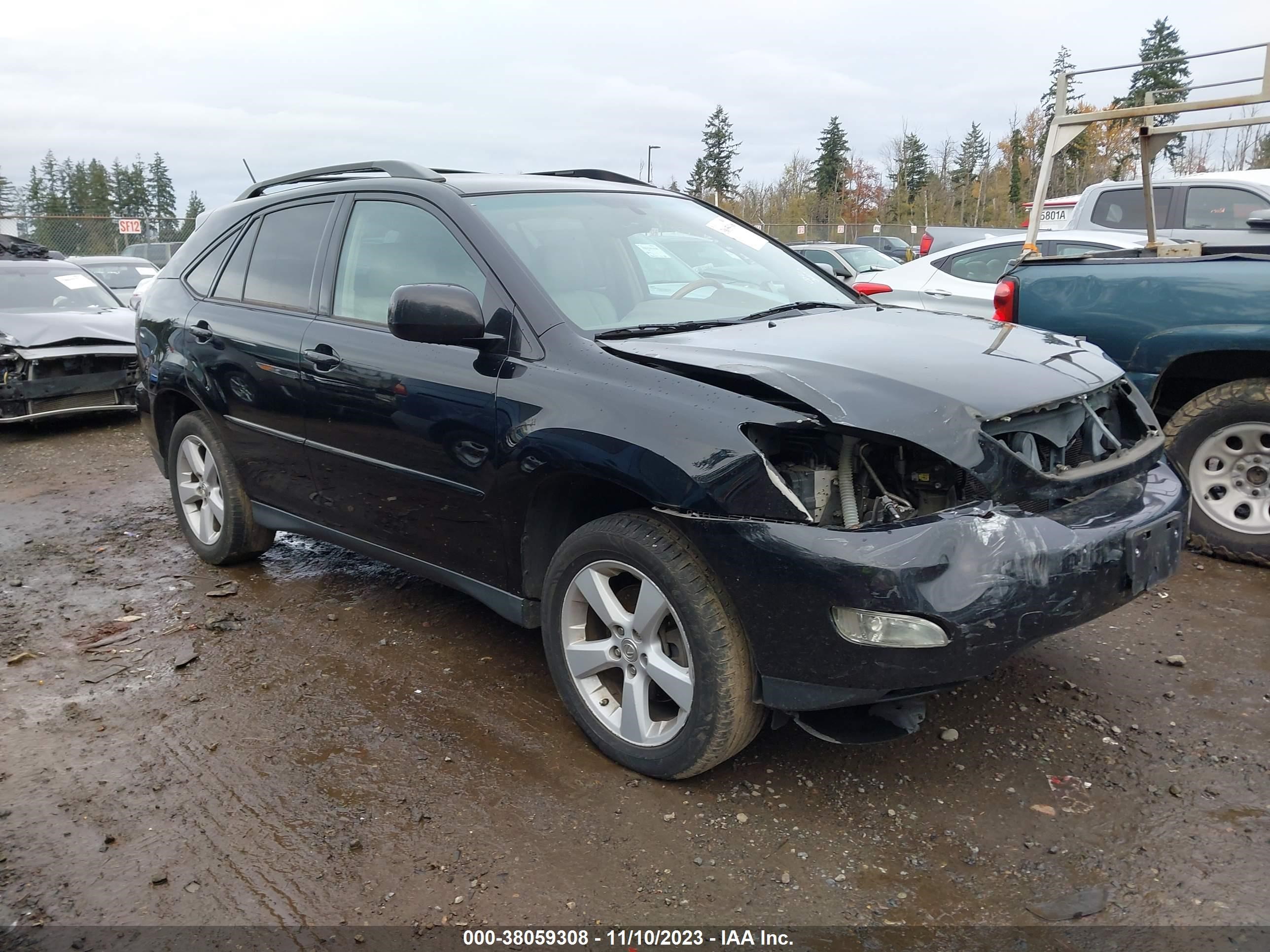 LEXUS RX 2007 2t2gk31u17c006607