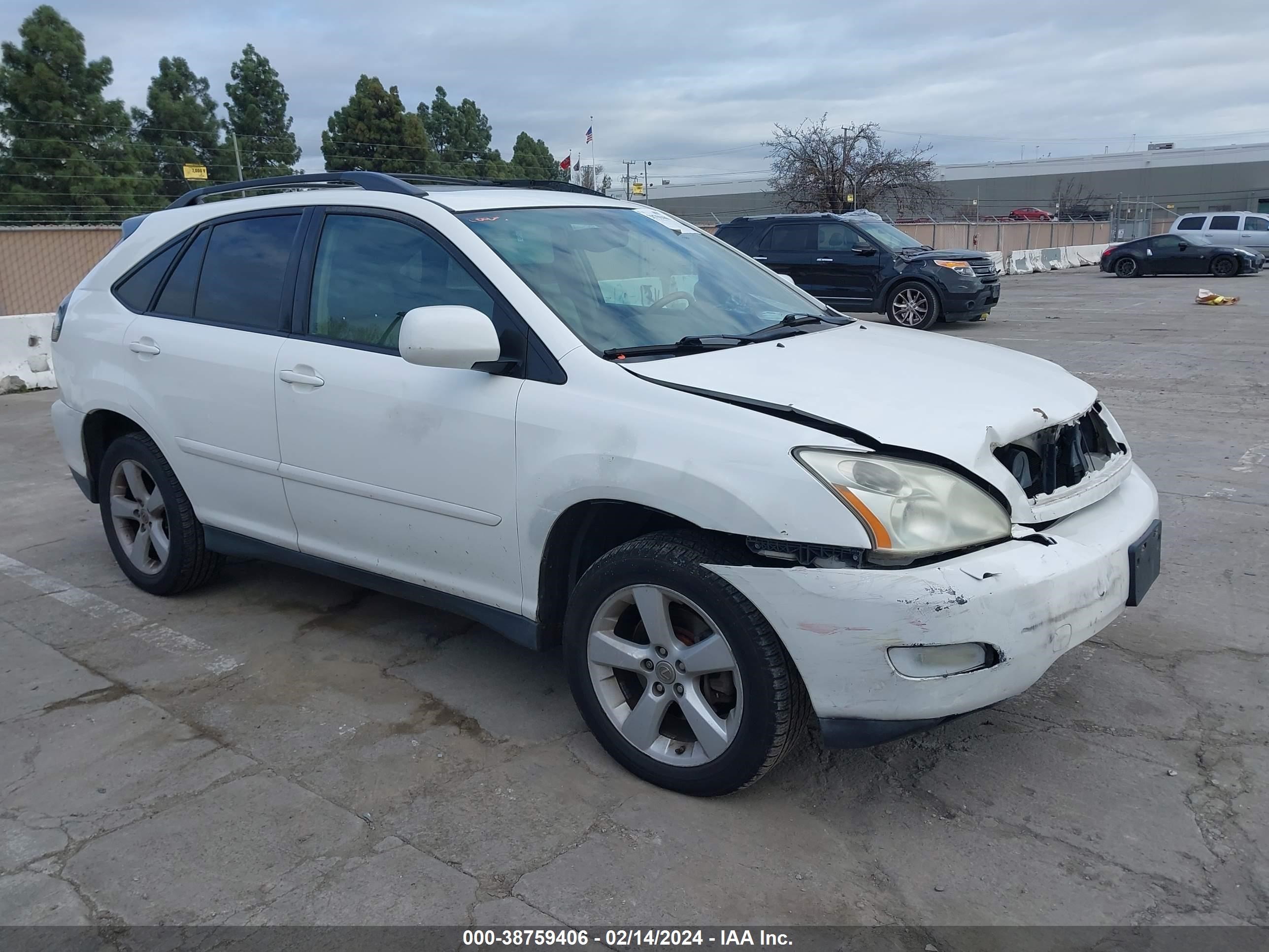 LEXUS RX 2007 2t2gk31u27c003652