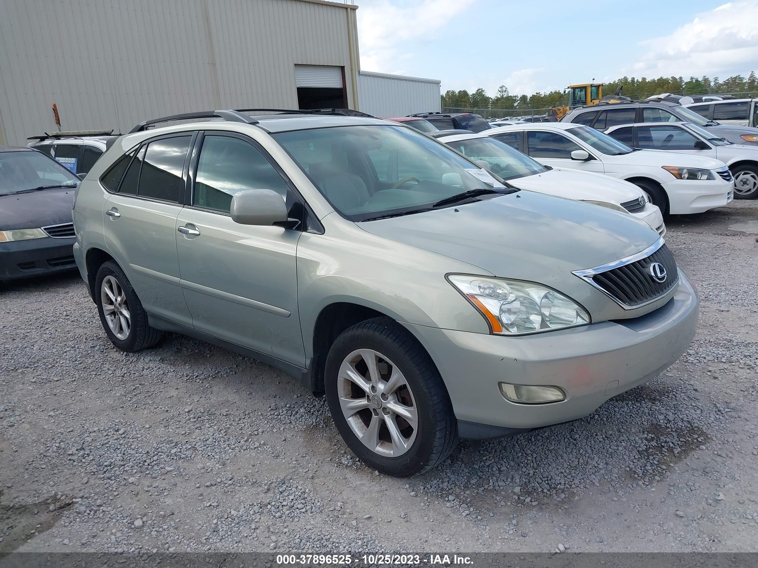 LEXUS RX 2009 2t2gk31u29c075759