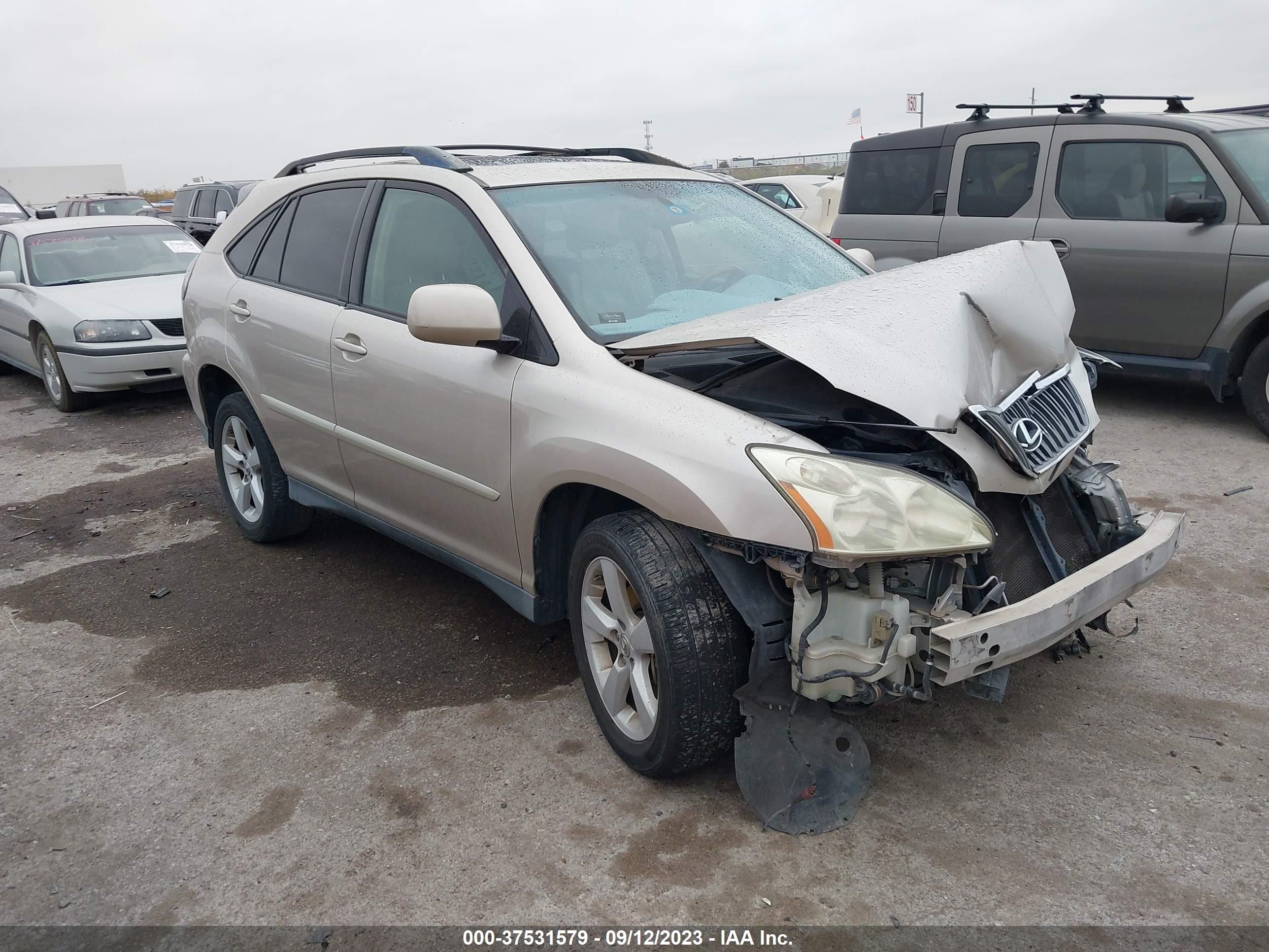 LEXUS RX 2007 2t2gk31u87c012002