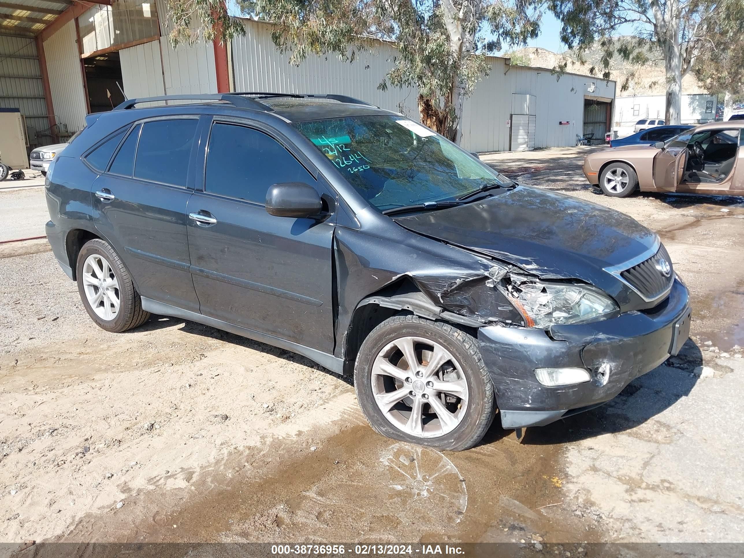 LEXUS RX 2009 2t2gk31u99c072650