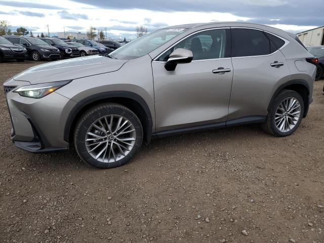 LEXUS NX 350H 2022 2t2gkcez0nc008934