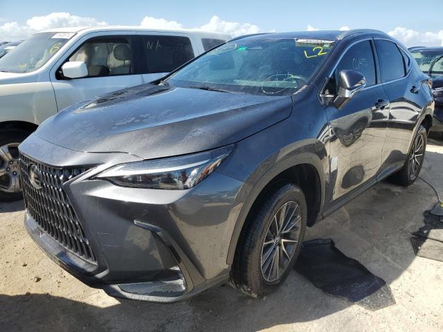 LEXUS NX 350H BA 2024 2t2gkcez1rc020368