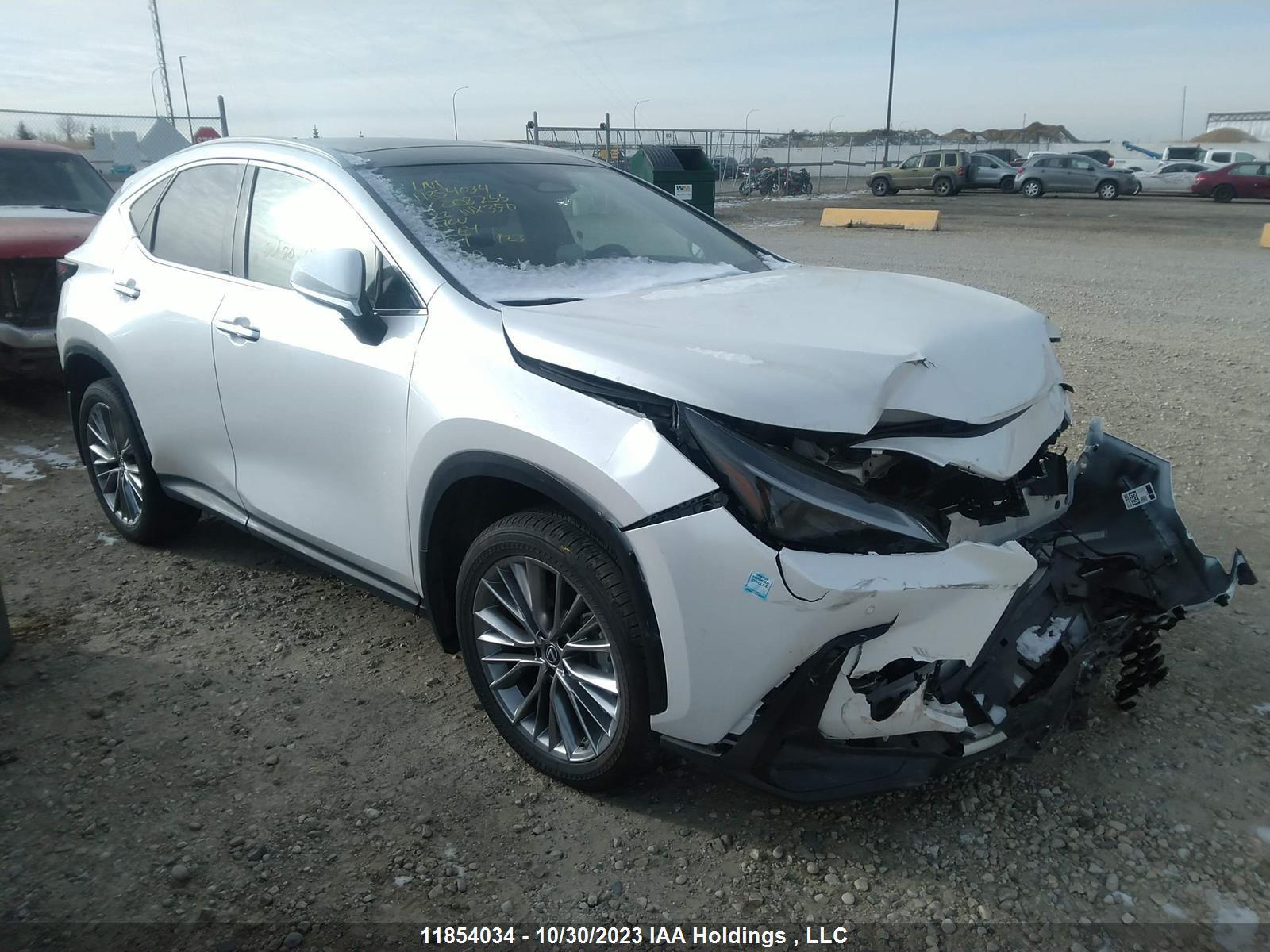 LEXUS NX 2022 2t2gkcez2nc008255