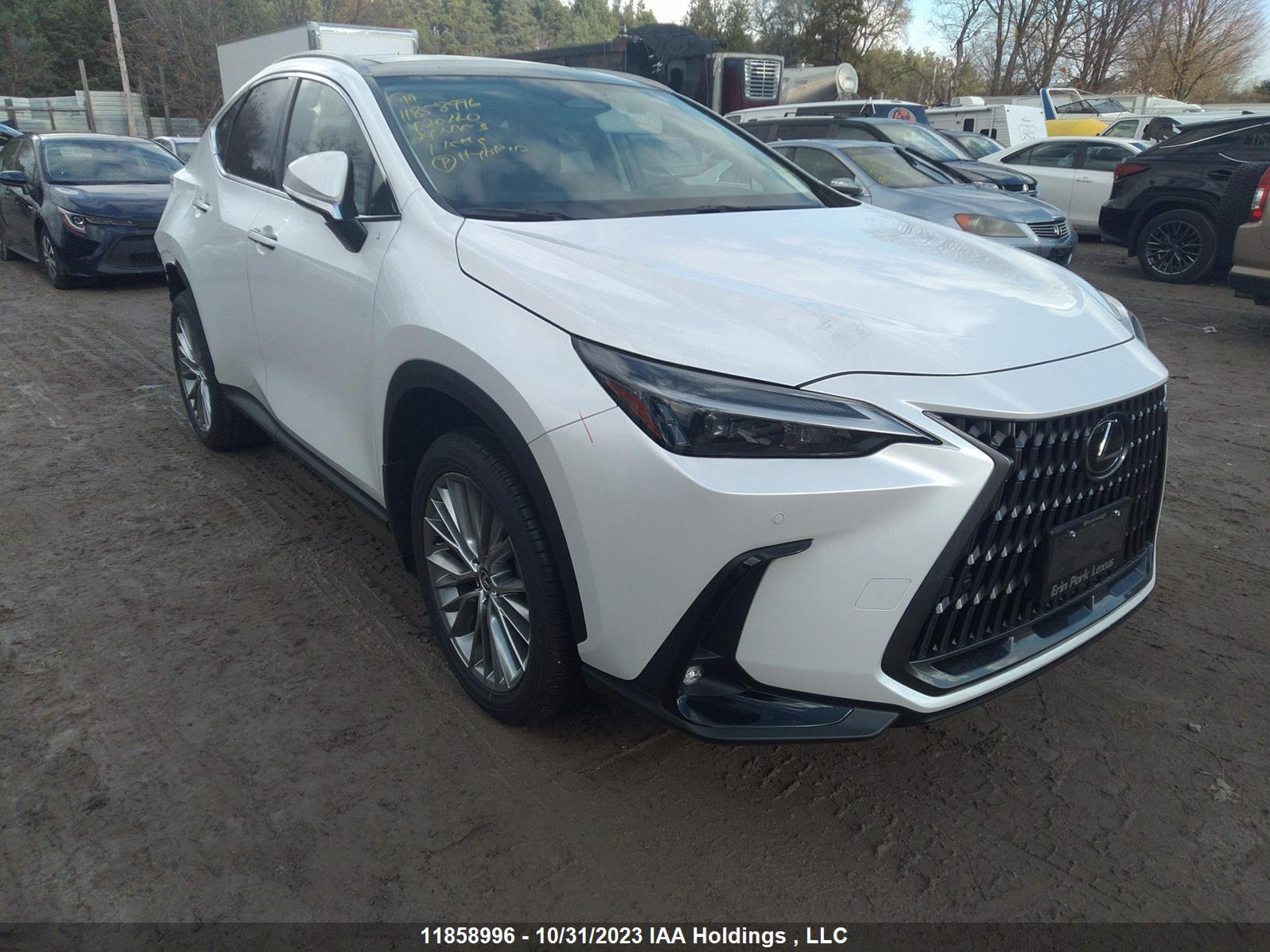 LEXUS NX 2024 2t2gkcez2rc020220