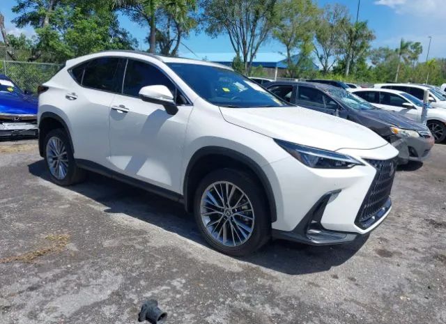 LEXUS NX 2022 2t2gkcez3nc003954