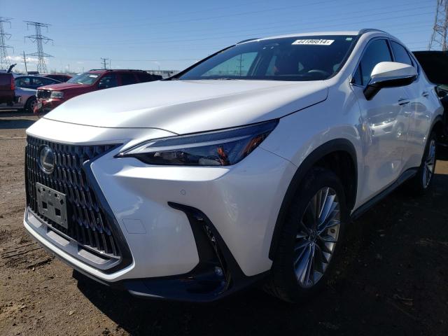 LEXUS NX 350H 2022 2t2gkcez3nc004991