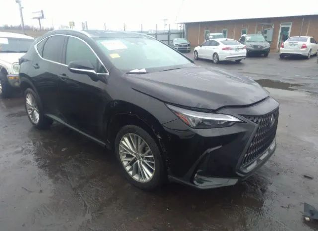 LEXUS NX 2022 2t2gkcez3nc008720