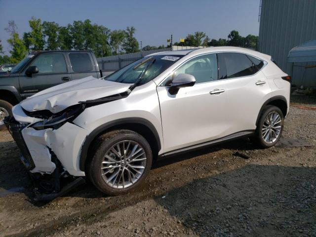 LEXUS NX 350H 2022 2t2gkcez3nc008815