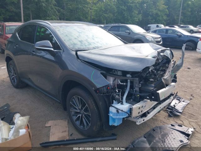 LEXUS NX 2024 2t2gkcez4rc030764