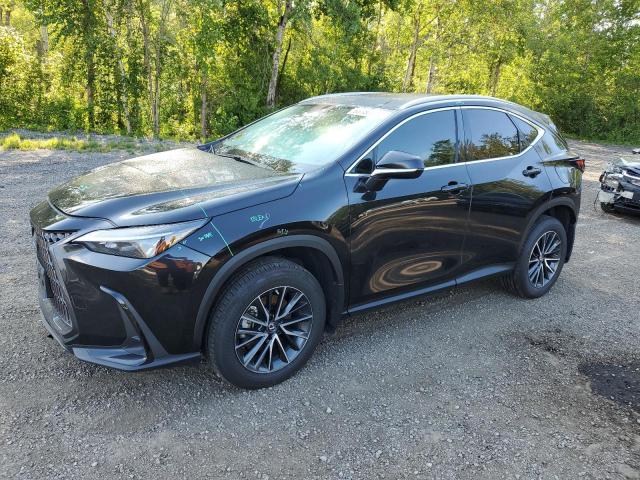 LEXUS NX 350H 2023 2t2gkcez5pc011122