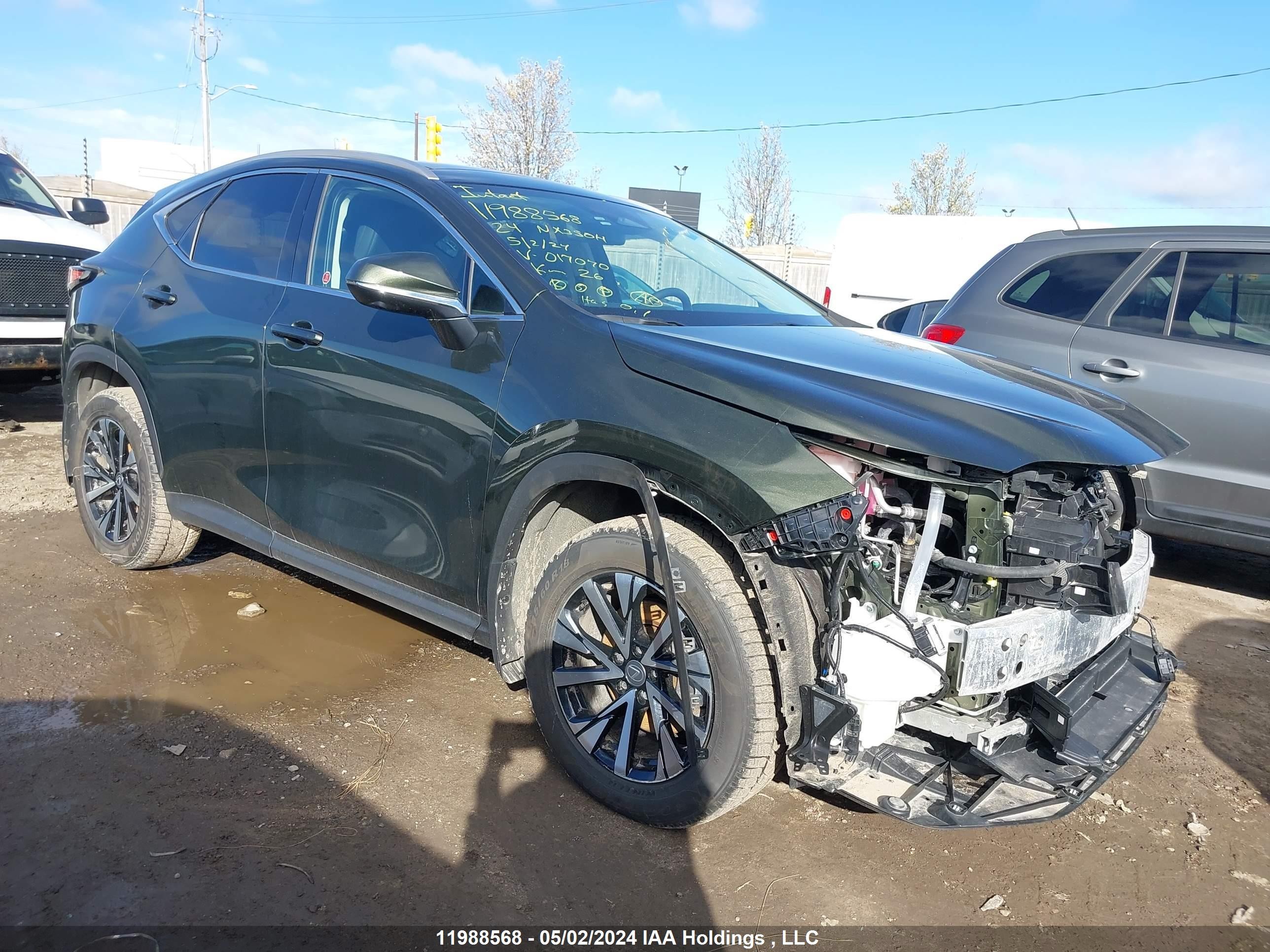 LEXUS NX 2024 2t2gkcez5rc017070