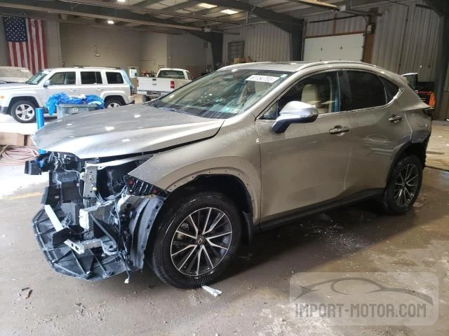 LEXUS NX 2023 2t2gkcez7pc013101