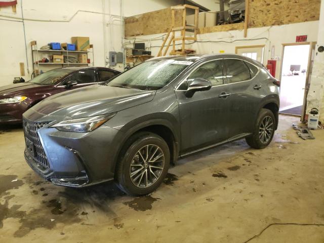 LEXUS NX 350H BA 2024 2t2gkcez7rc019287