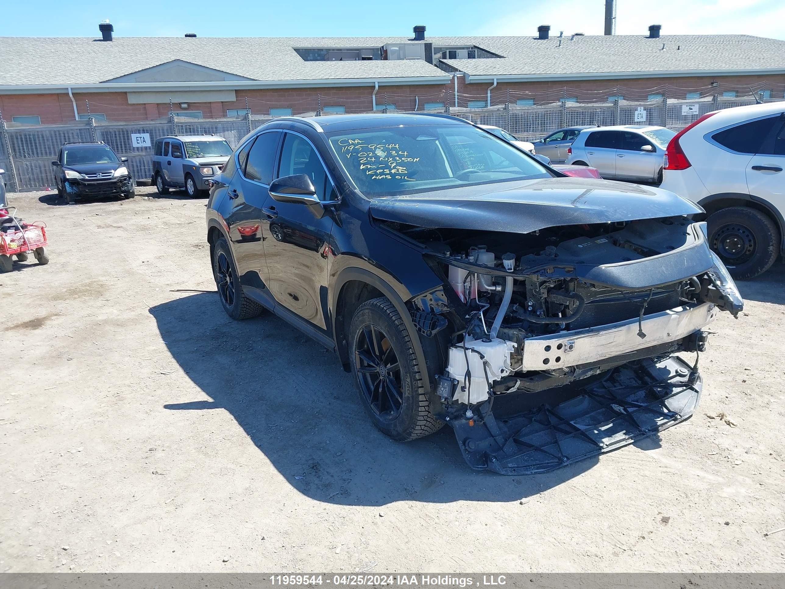 LEXUS NX 2024 2t2gkcez8rc022134