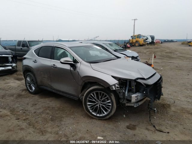 LEXUS NX 2022 2t2gkcez9nc001075