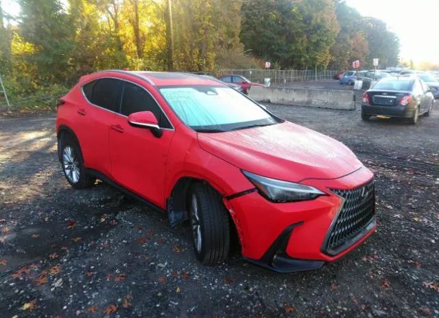 LEXUS NX 2022 2t2gkcezxnc008732