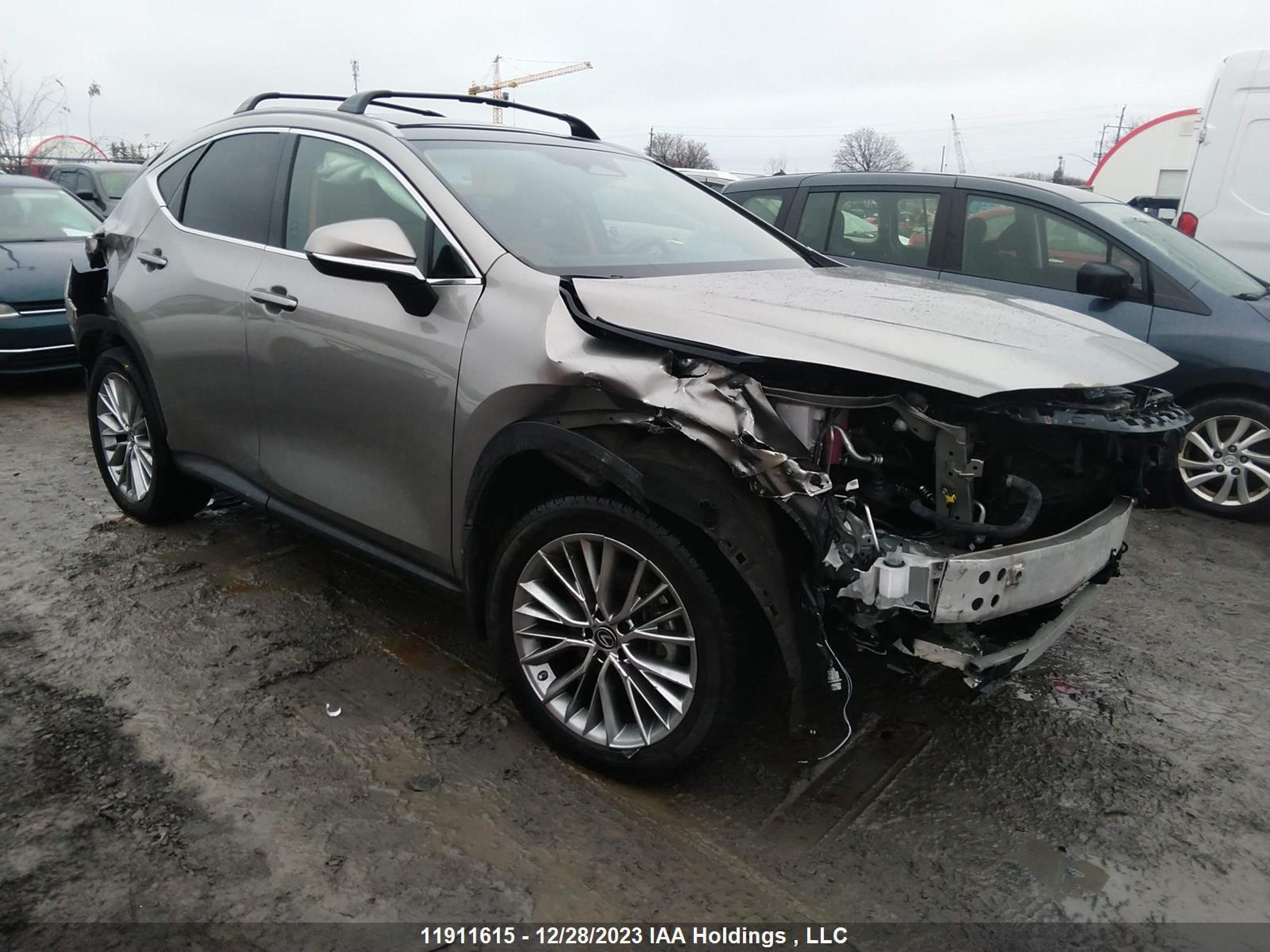 LEXUS NX 2023 2t2gkcezxpc011178