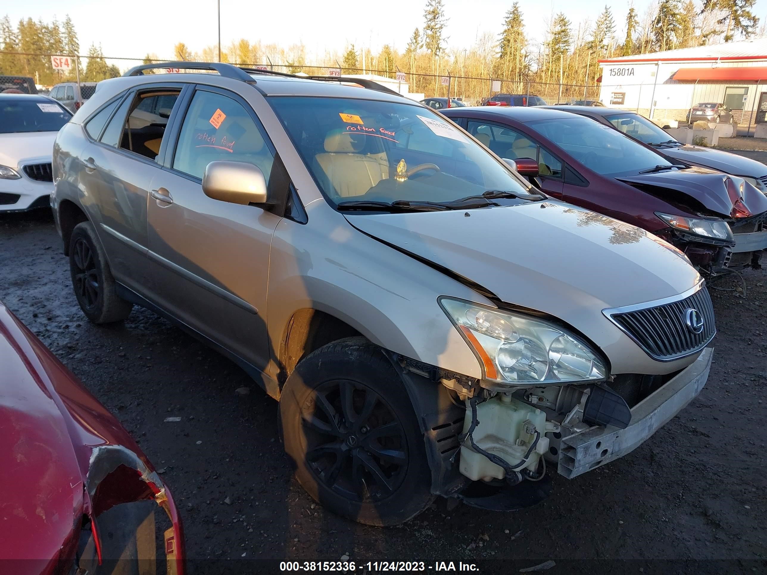 LEXUS RX 2004 2t2ha31u04c028827