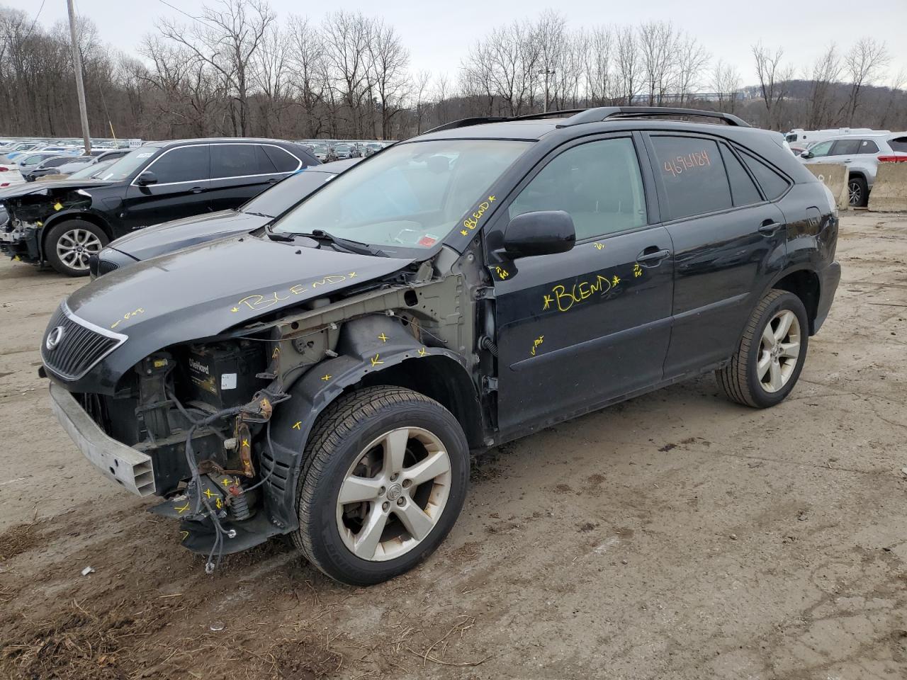 LEXUS RX 2004 2t2ha31u24c004934