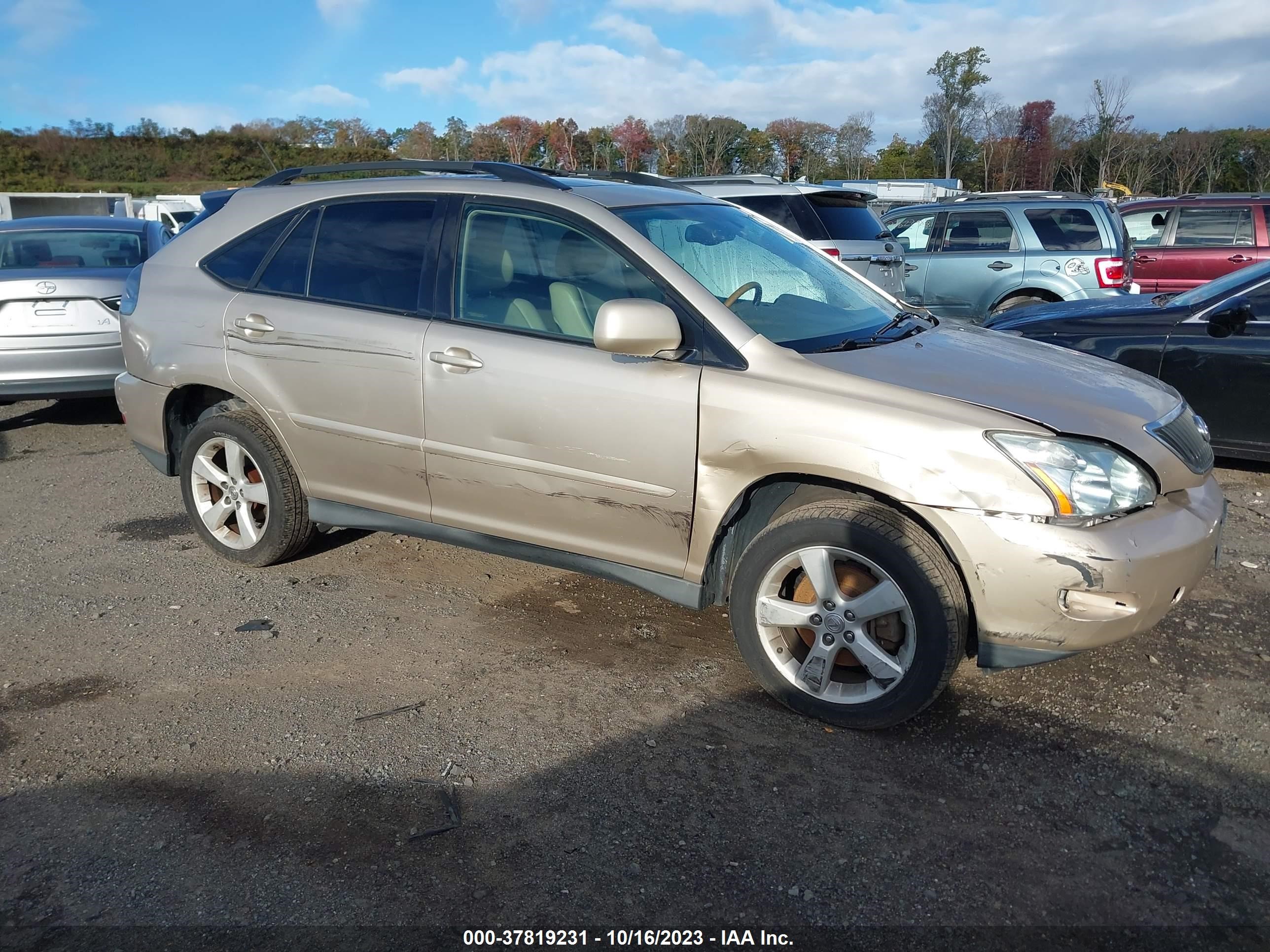 LEXUS RX 2004 2t2ha31u24c007512