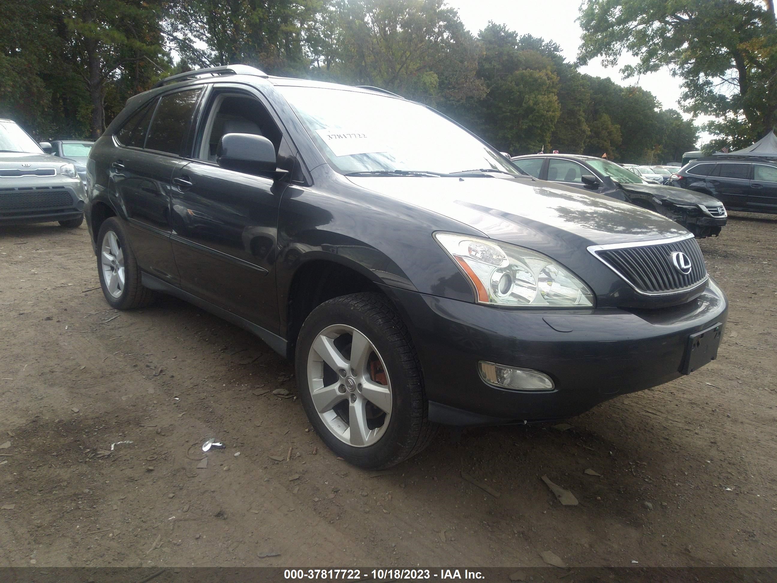 LEXUS RX 2005 2t2ha31u25c059059