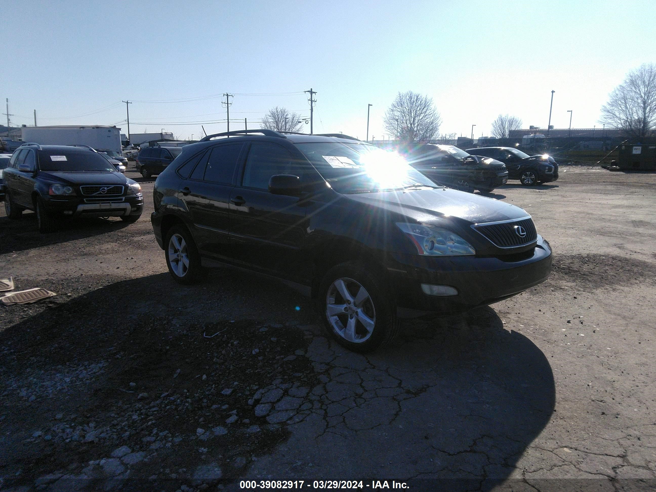 LEXUS RX 2004 2t2ha31u34c006112