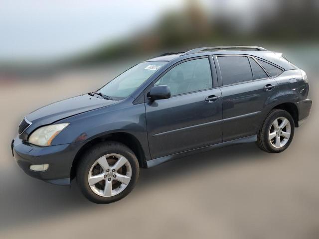 LEXUS RX330 2004 2t2ha31u44c013425