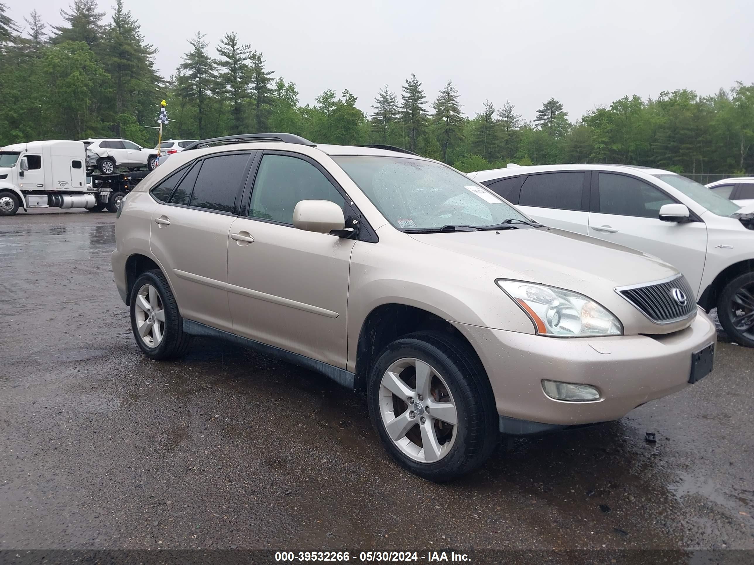 LEXUS RX 2004 2t2ha31u44c016048