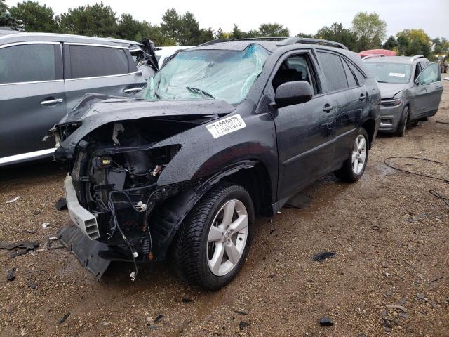 LEXUS RX330 2004 2t2ha31u44c034601