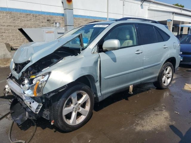 LEXUS RX 330 2004 2t2ha31u44c037627