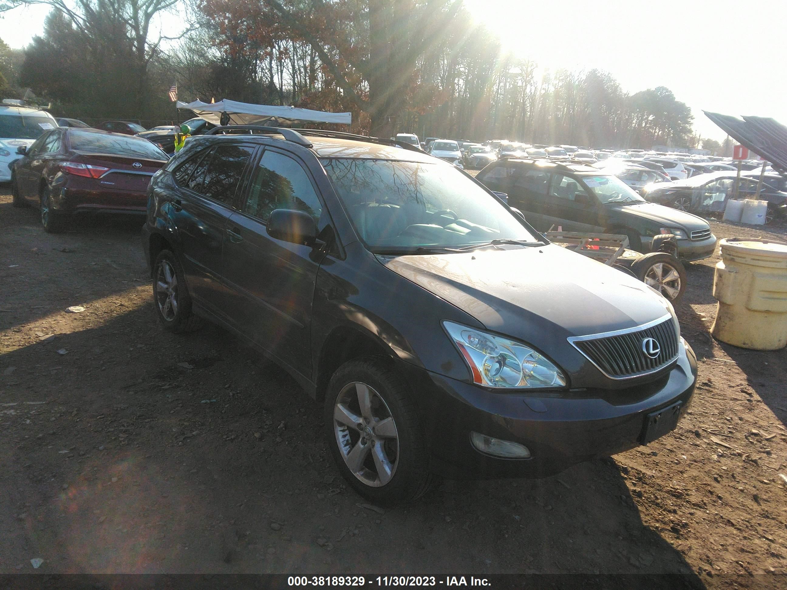 LEXUS RX 2004 2t2ha31u54c008136